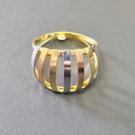 ANEL VAZADO DUAS LINHAS