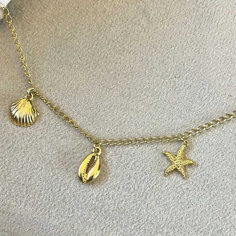 PULSEIRA PRAIA CONCHA BUZIOS E ESTRELA